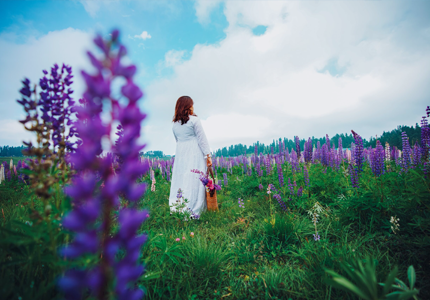 9-Day Kashmir Explorer from Chandigarh – Jammu to Gulmarg & Pahalgam
